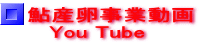 鮎産卵事業動画    You Tube
